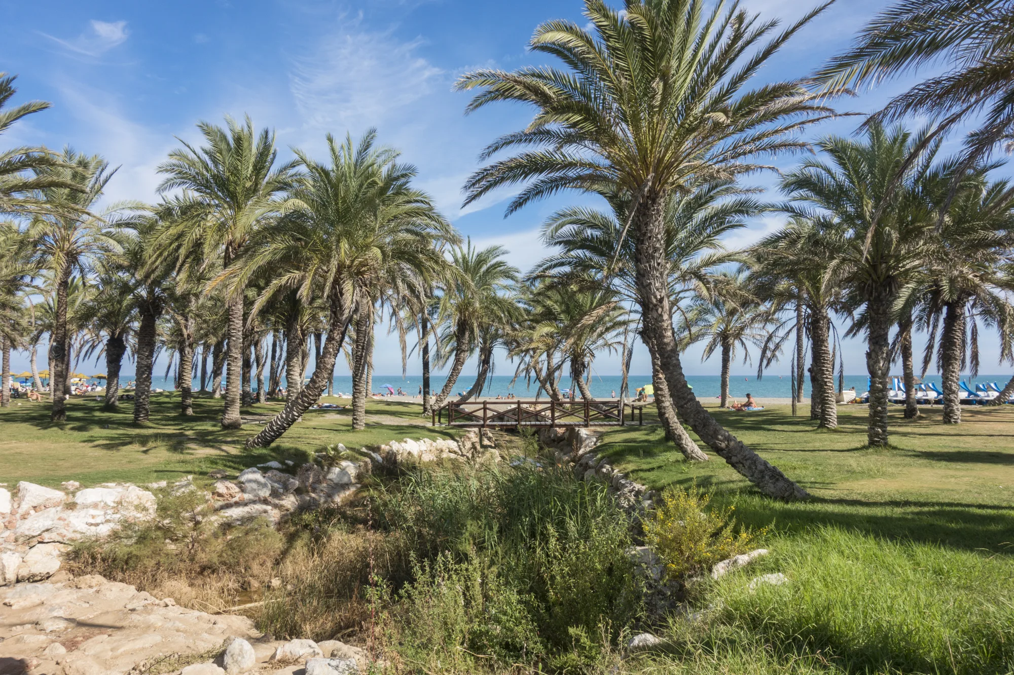 Palmik uz plažu La Carihuela u Torremolinosu, sa morem i ležaljkama u pozadini po sunčanom danu
